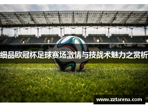 细品欧冠杯足球赛场激情与技战术魅力之赏析
